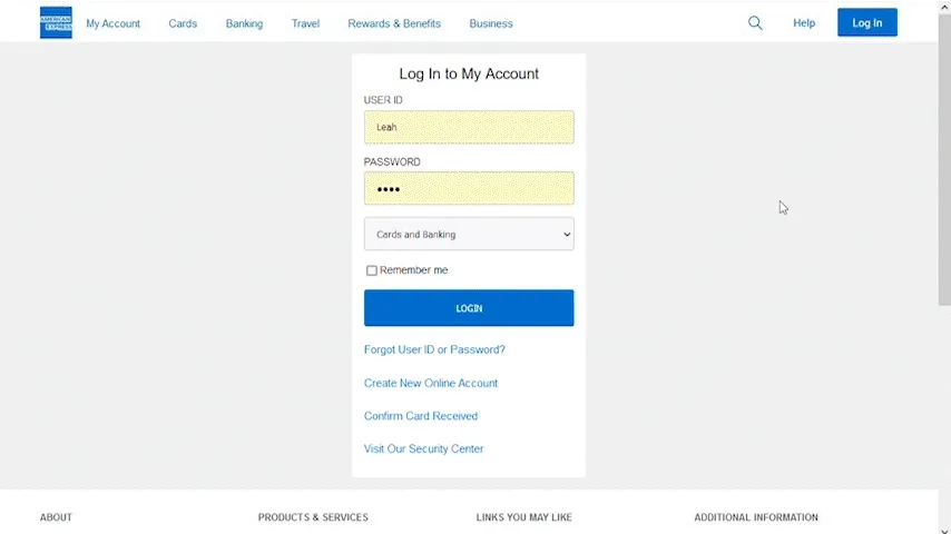 application demo
